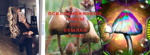 PSILOCYBIN Мегион