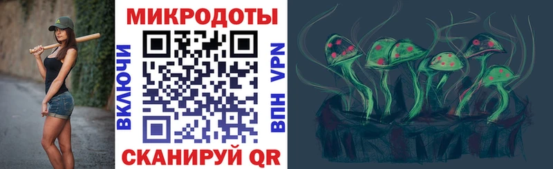 Псилоцибиновые грибы Psilocybine cubensis  Купить закладки  Ессентуки 