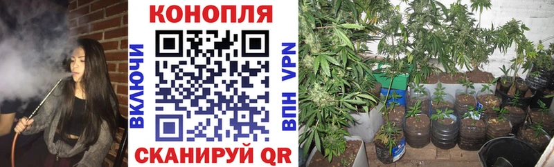 Купить где  Ессентуки  Бошки марихуана Bruce Banner 